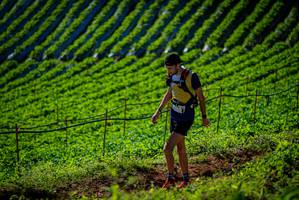 BIB: 
                            <button type="button" onclick="openModal(19160823)" class="btn btn-primary btn-sm float-right btn-popup" data-toggle="modal" data-target=".modal-high-quality">
                        <i class="fas fa-shopping-cart"></i> Add to Cart
                    </button>
                                            <button type="button" onclick="isThisMe(19160823, true)" class="btn btn-success btn-sm float-right btn-popup btn-isme hidden" data-toggle="tooltip" data-placement="bottom" title="นี่คือรูปของคุณใช่ไหม คลิกที่นี่เพื่อเอาเข้าอัลบั้ม">
                        <i class="fas fa-plus"></i> Add to album
                    </button>
                    <button type="button" onclick="isThisMe(19160823, false)" class="btn btn-warning btn-sm float-right btn-popup btn-isnotme hidden">
                        <i class="fas fa-ban"></i> Remove from album
                    </button>